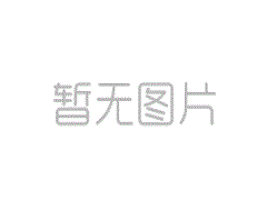 应对二手房贸易资本危机上海力推“版”资本羁